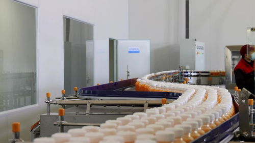 千企競(jìng)“質(zhì)”，向“新”而行 小沙棘如何為鄉(xiāng)村振興注入強(qiáng)勁動(dòng)能